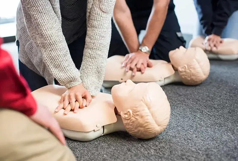 People practicing CPR on training mannequins.